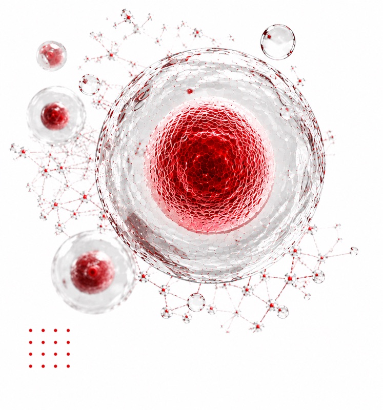 Cell therapy for type 2 diabetes as a complement to standard therapy