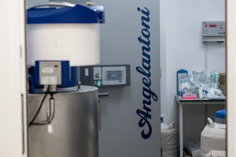 Equipment for cryopreservation of cell products and their derivatives
