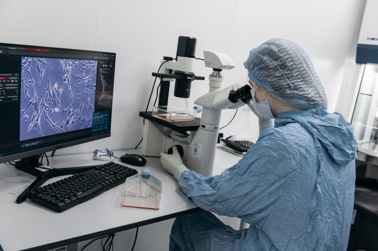 Cell culture senescence testing